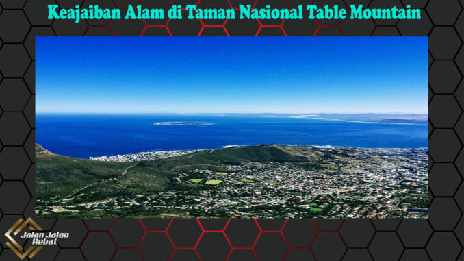 Keajaiban Alam di Taman Nasional Table Mountain